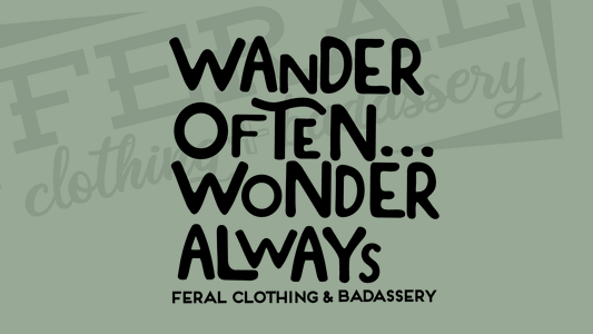Wander Often Wonder Always